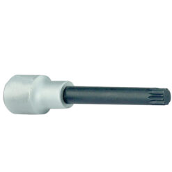 Vielzahneinsatz Bit 100mm mit Verbindungsstück 1/2" SV.LB M10-EV.210L
