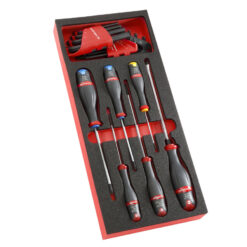 Modul mit 6 Schraubendrehern und 17 Stiftschlüssel in Schaumstoffeinlage