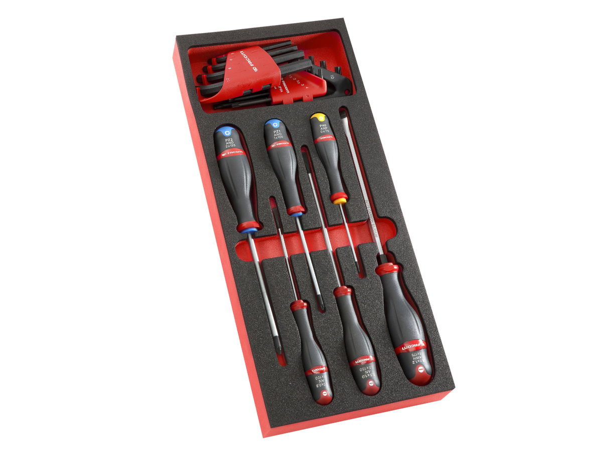 Modul mit 6 Schraubendrehern und 17 Stiftschlüssel in Schaumstoffeinlage